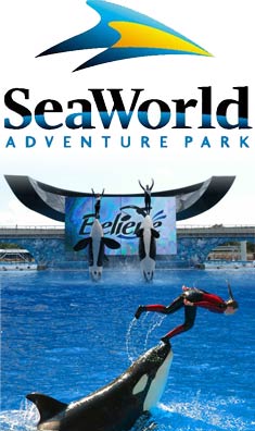 Sea World Orlando